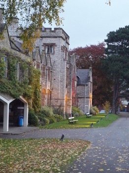 External lighting at a school campus